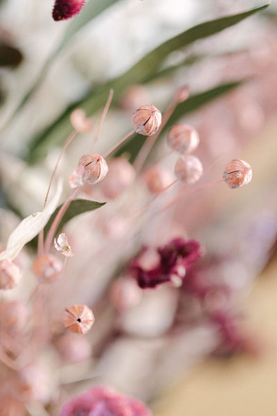 Dried Pink Flowers