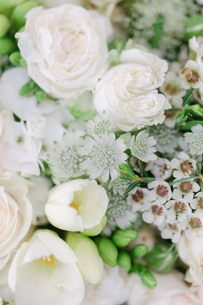 White and Cream Roses
