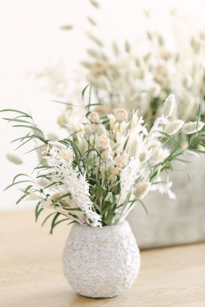 White Dried Flowers